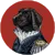 Animal Farm Dogs icon