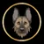 ANTIS INU icon