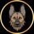 Antis Inu icon