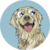 BARK icon