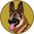 BergerDoge icon