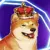 BNBdoge icon