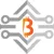 Bitpaid Token icon