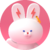 BunnyPark icon