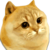 Catge Coin icon