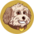 Cavachon icon