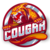 CougarSwap icon