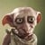 DOBBY icon