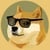 Doge 2.0 icon