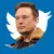 ELON BUYS TWITTER icon