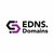 EDNS Domains icon