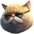 FAT CAT icon