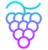 Grape Protocol icon