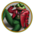 GUCCIPEPE icon