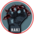 HAKI Token icon