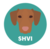 HVI icon