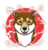 Mikawa Inu icon