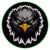 RAVEN icon