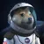 SpaceXDoge icon