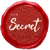 The Secret Coin icon