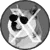 XDoge icon