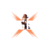 XGF icon